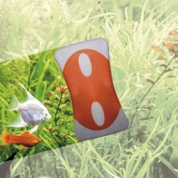 Limpia algas magnético 80X33mm M