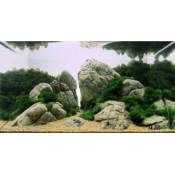 Roca Elephant Skin 1kg