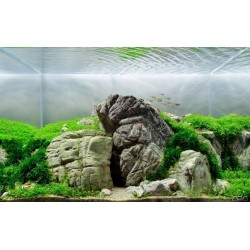 Roca Elephant Skin 1kg