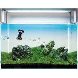 Tunze Care Magnet nano new