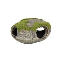 Piedra refugio con musgo...