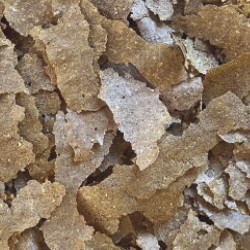 DAJANA INSECT SUPERFOOD TROPICAL FLAKES 18g