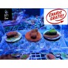 OFERTA, 3 Montiporas tapizante
