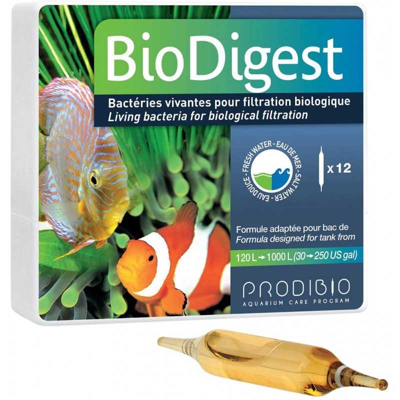 PRODIBIO BIODIGEST 12 AMPOLLAS