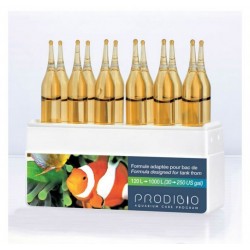 PRODIBIO BIODIGEST 12 AMPOLLAS