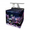 Nano Acuario marino OCEAN FREE (34 l)