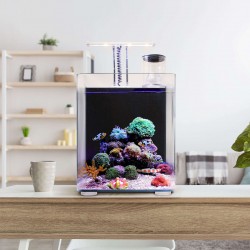 Nano Acuario marino OCEAN FREE (34 l)
