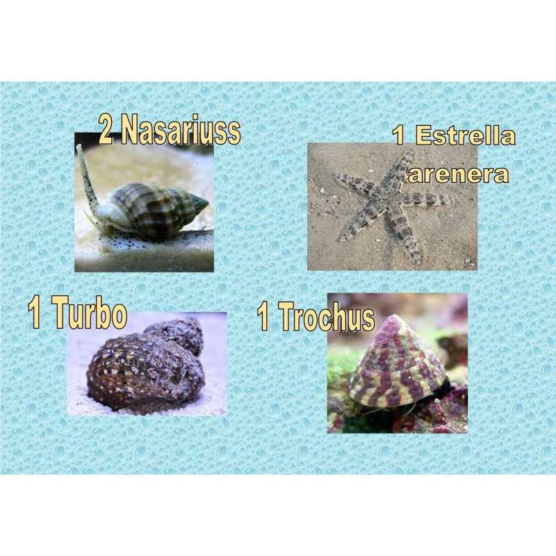 Lote limpiador marino