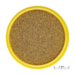 JBL PRONOVO NEON GRANO XXS 100ml