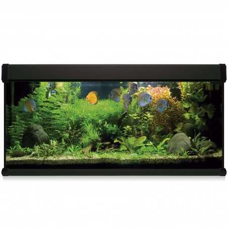kit acuario Aqua Lux Pro 240 negro filtros exterior
