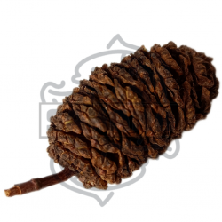 Piña aliso 25GR