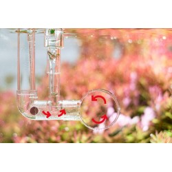 Neo Flow Premiun L (16/22) V2 Aquario