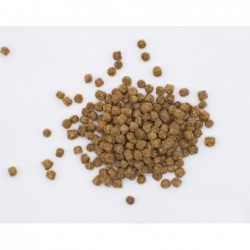 Pellet medium100gr