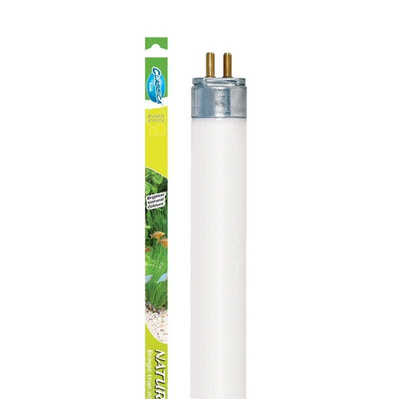 Fluorescente Natural daylight 8w 30cm T5