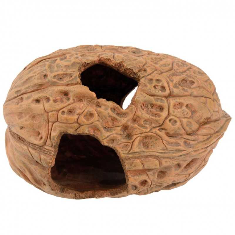 Nuez Cueva  20x14x12cm