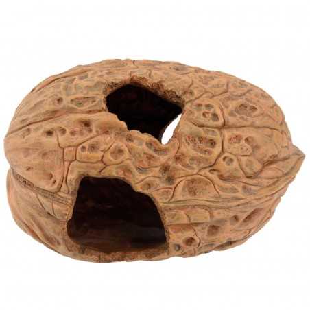 Nuez Cueva  20x14x12cm