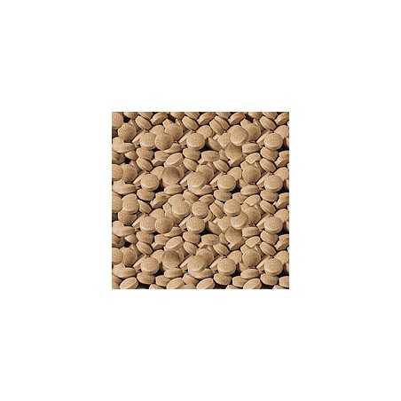 Sera Viformo Pleco Tabs 160g