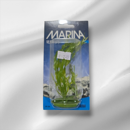 Plantas artificiales Marina 12,5