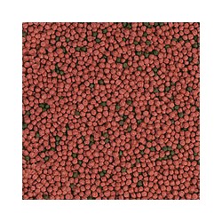 Sera raffy Baby -Gram 35g