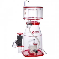 Skimmer Regal 250-S con...