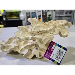 Aquaroche coral bridge