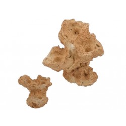 Aquaroche zoa garden rock nano