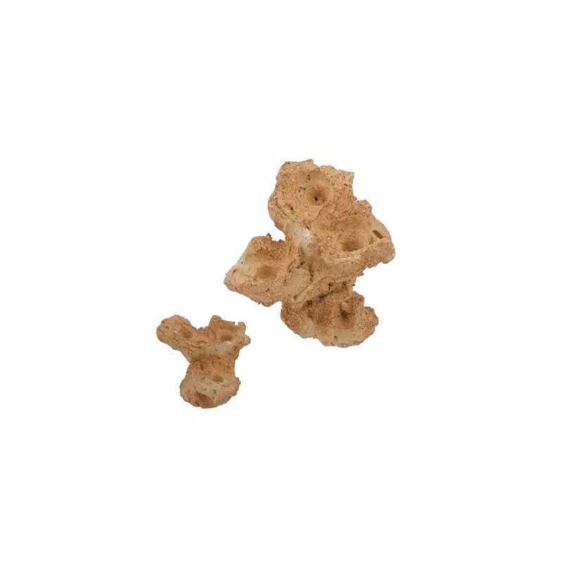 Aquaroche zoa garden rock nano