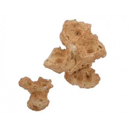 Aquaroche zoa garden rock nano