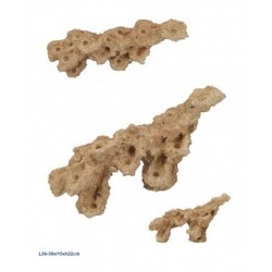 Aquaroche zoa garden rock...