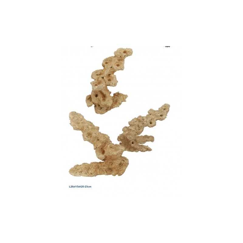 Aquaroche zoa garden rock arche