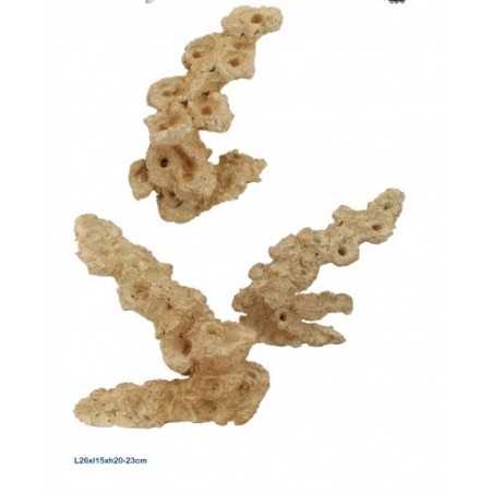 Aquaroche zoa garden rock arche