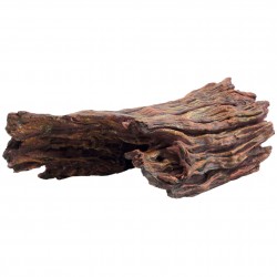 Ornamento corteza-cueva ICA...