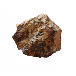 Piedra de madera fosilizada...