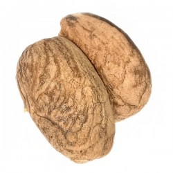 Nuez del Orinoco 2und