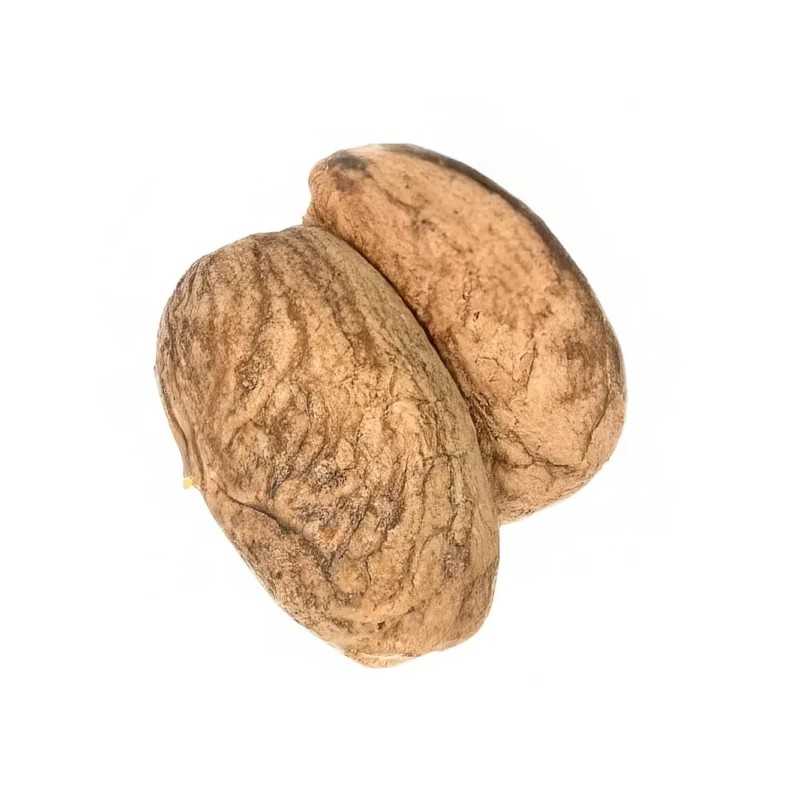 Nuez del Orinoco 2und