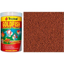 Tropical goldfish color...