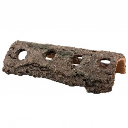 copy of Corteza -Cueva M